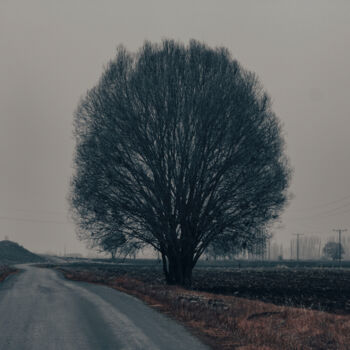 Photographie intitulée "tree" par Orhan Güldeste, Œuvre d'art originale, Photographie manipulée