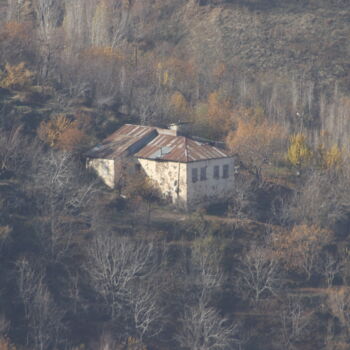 Photography titled "ağaçlar arasında ka…" by Orhan Güldeste, Original Artwork, Non Manipulated Photography