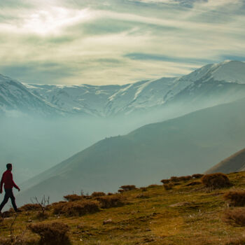 Photographie intitulée "walking in nature" par Orhan Güldeste, Œuvre d'art originale, Photographie numérique