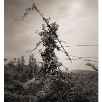 Fotografía titulada "Woman in green" por Oriol Jolonch, Obra de arte original, Fotografía digital