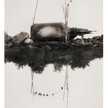 Photography titled "De cuervos y plomas" by Oriol Jolonch, Original Artwork, Digital Photography