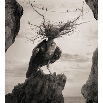 Fotografie getiteld "Cría cuervos" door Oriol Jolonch, Origineel Kunstwerk, Digitale fotografie