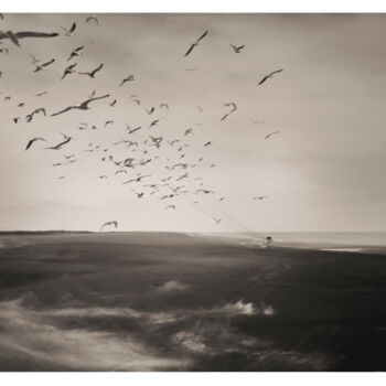 Fotografie getiteld "Pájaros" door Oriol Jolonch, Origineel Kunstwerk, Digitale fotografie