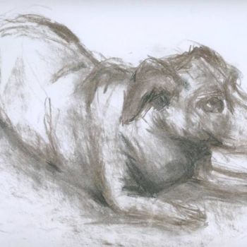 Dibujo titulada "Hund" por Ralf Czekalla, Obra de arte original, Carbón