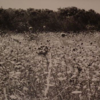Photographie intitulée "Le champ" par Rafael Ortega, Œuvre d'art originale