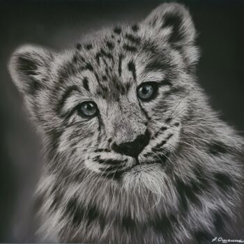 Dibujo titulada "Snow leopard  Manju" por Aliona Oshkina, Obra de arte original, Pastel