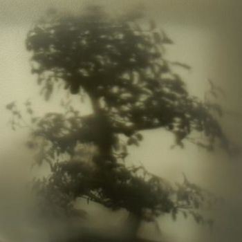 Photographie intitulée "ombre chinoise" par Bruno Blais.Delu, Œuvre d'art originale
