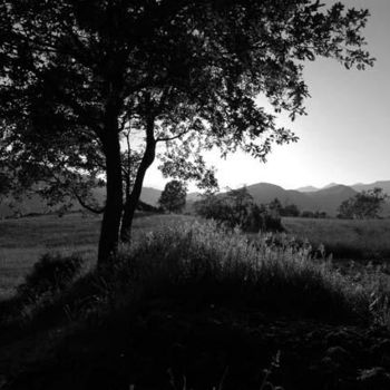 Photographie intitulée "Sarroqueta" par Bruno Blais.Delu, Œuvre d'art originale