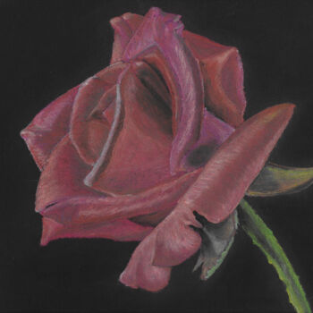 Tekening getiteld "Rosa rosa rosam" door P. Le Sommer, Origineel Kunstwerk, Pastel