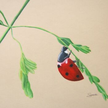 Painting titled "Coccinelle" by P. Le Sommer, Original Artwork, Acrylic