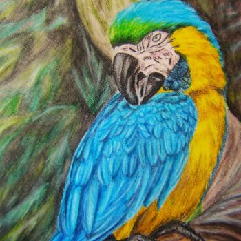 Рисунок под названием "Blue parrot" - P. Le Sommer, Подлинное произведение искусства, Акварель