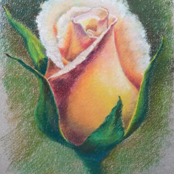 Painting titled "Dawn of the Rose" by P. Lee, Original Artwork, Pastel