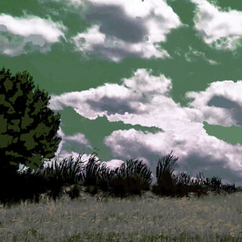 Fotografia intitolato "Free Nature-12" da Pablo Guillamon, Opera d'arte originale, Fotografia digitale