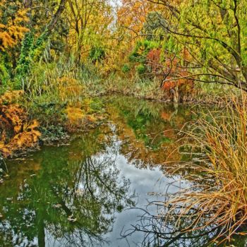 Photographie intitulée "Reflejos" par Pablo Jimeno, Œuvre d'art originale, Photographie numérique