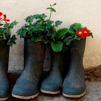 Fotografia intitolato "porta plantas con b…" da Pacori, Opera d'arte originale