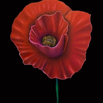 Painting titled "Poppy on black real…" by Kirill Parshenkov (Cyril Black), Original Artwork, Oil Mounted on Wood Stretcher f…