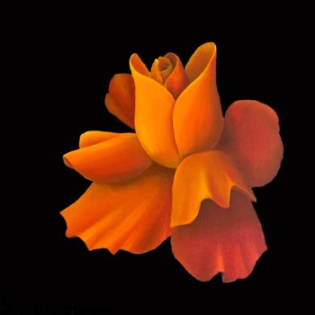 Картина под названием "Red Orange Rose flo…" - Kirill Parshenkov (Cyril Black), Подлинное произведение искусства, Масло