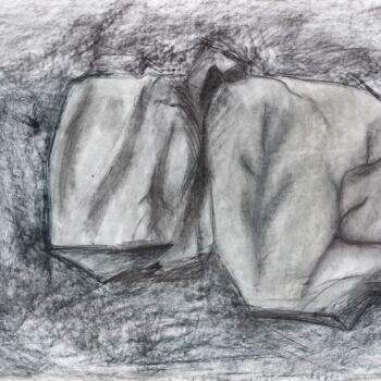 「Still Life with Gra…」というタイトルの描画 Pamela Rysによって, オリジナルのアートワーク, 木炭