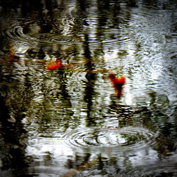 Photography titled "Poissons rouges ?" by An'Marie Pirard, Original Artwork