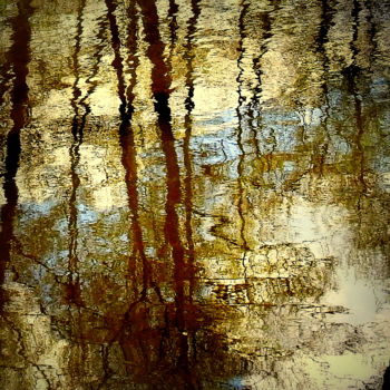 Photography titled "Arbres narcissiques" by An'Marie Pirard, Original Artwork