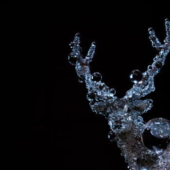 Photography titled "crystal deer" by Karina Panaetova, Original Artwork