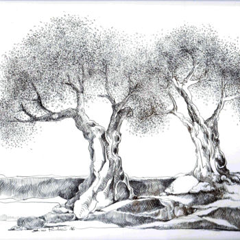 Drawing titled "Olivenbäume" by Tatjana M. Pankau, Original Artwork, Silverpoint