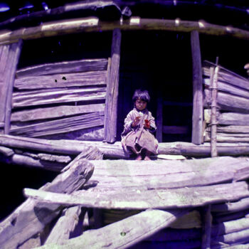 Фотография под названием "Wooden Hut" - Panna Jain, Подлинное произведение искусства, Пленочная фотография