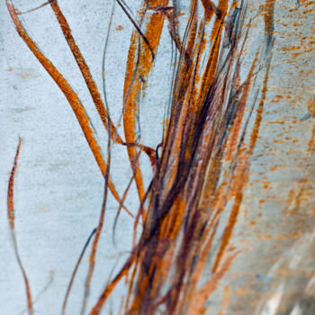 Fotografie getiteld "Rust Ribbons" door Pappasbland, Origineel Kunstwerk, Digitale fotografie