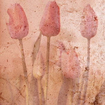 Digital Arts με τίτλο "Tulipes" από Paradoxart, Αυθεντικά έργα τέχνης, Ψηφιακή φωτογραφία