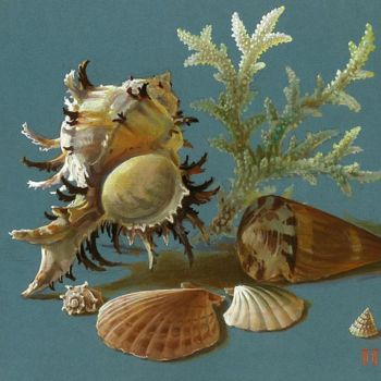 Malerei mit dem Titel "Раковины и кораллы" von Pavel Paramonov, Original-Kunstwerk, Öl