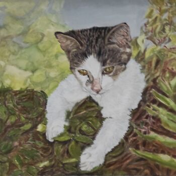 Painting titled "chaton" by Pascal Bourgouin, Original Artwork, Oil Mounted on Wood Stretcher frame