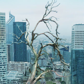 Digitale Kunst getiteld "TreeX" door Pascal Carro (PKRO), Origineel Kunstwerk, Foto Montage