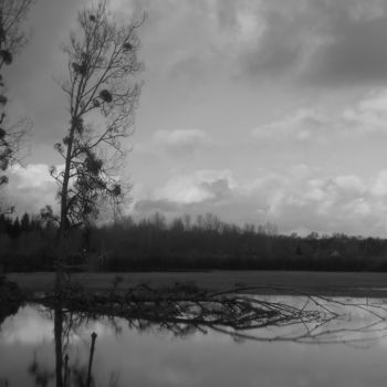 Photographie intitulée "Les trois amis" par Pascal Collin, Œuvre d'art originale