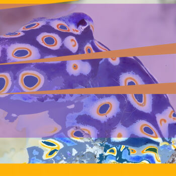 Arte digitale intitolato "Octopus attentif av…" da Pascal Maupas, Opera d'arte originale, Fotomontaggio