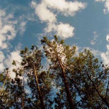 Photography titled "touching the sky" by Pascal Senequier Buquen, Original Artwork