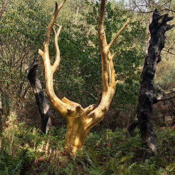 Photographie intitulée "L'arbre d'or" par Pascale Bezaud, Œuvre d'art originale, Photographie numérique