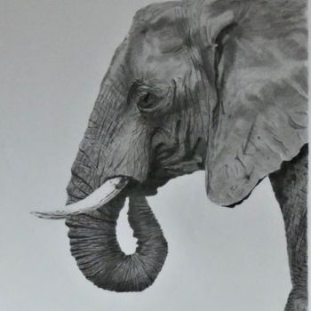 Drawing titled "L'Eléphant" by Pascale Scheip, Original Artwork, Graphite