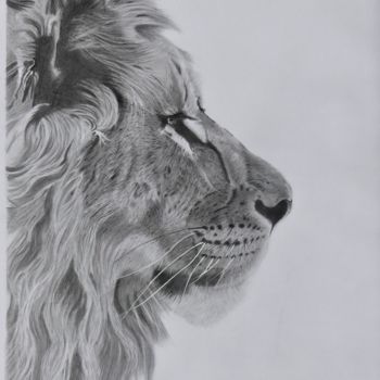 Dessin intitulée "Le Lion," par Pascale Scheip, Œuvre d'art originale, Graphite