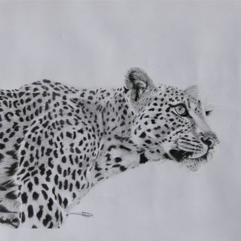 Dessin intitulée "Le léopard" par Pascale Scheip, Œuvre d'art originale, Graphite