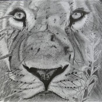 Рисунок под названием "Le Roi  Lion," - Pascale Scheip, Подлинное произведение искусства, Графит