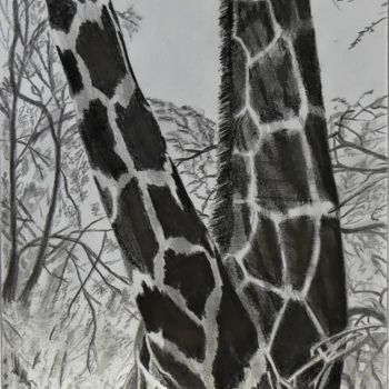 Drawing titled "Girafes" by Pascale Scheip, Original Artwork, Pencil