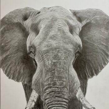 Drawing titled "Éléphant d’Afrique" by Pascale Scheip, Original Artwork, Pencil