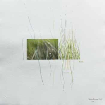 Dessin intitulée "herbes folles" par Pascale Aurignac, Œuvre d'art originale, Aquarelle