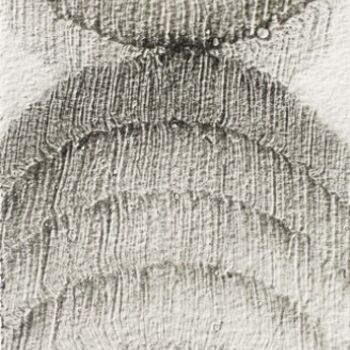 Drawing titled "jour 11 - 07." by Pascale Aurignac, Original Artwork, Graphite
