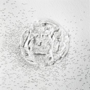 Drawing titled "jour 37 - 03.12.2012" by Pascale Aurignac, Original Artwork, Graphite