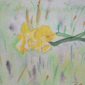 Painting titled "fleur jaune de prin…" by Pascale Coutoux, Original Artwork, Watercolor