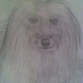 Drawing titled "betty la chienne" by Pascale Kleinberg, Original Artwork, Pencil