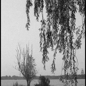 Photographie intitulée "Une île à Condé sur…" par Pascaline, Œuvre d'art originale