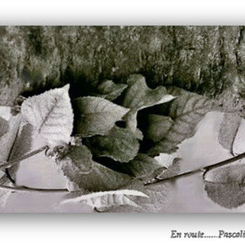 Photography titled "Sur la route qui mè…" by Pascaline, Original Artwork, Other