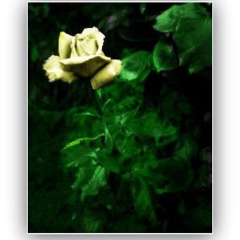 Arts numériques intitulée "La rose" par Pascaline, Œuvre d'art originale, Peinture numérique